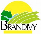 Logo de la mairie de Brandivy (Morbihan)